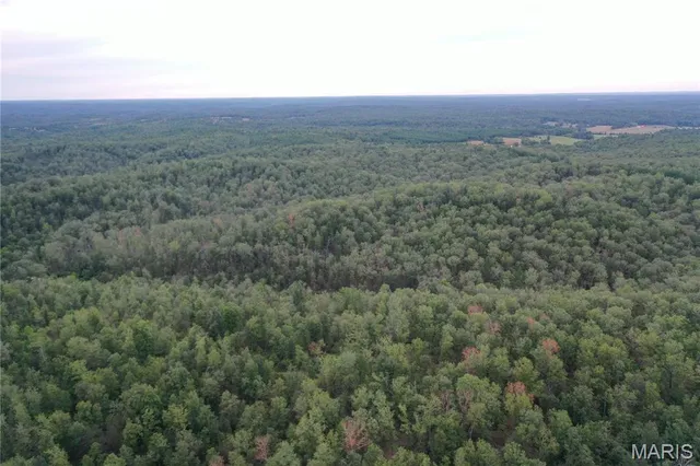 $44,900 | 636 County Road 636, Ellington, MO 63638