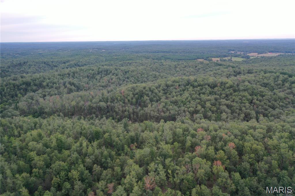 636 County Road 636 Ellington, MO 63638 - Photo 35 of 42