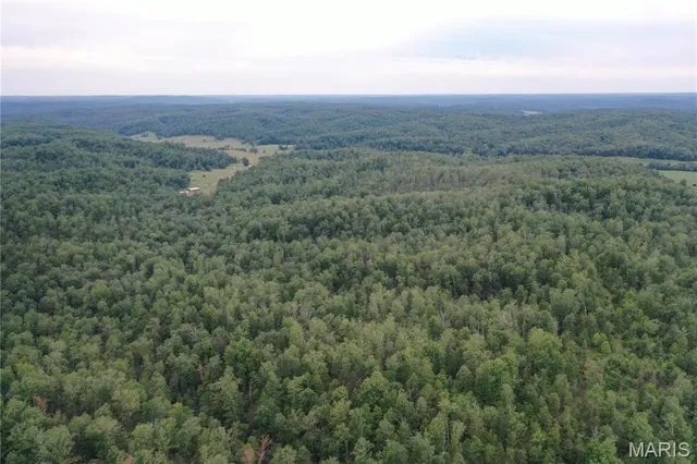 $44,900 | 636 County Road 636, Ellington, MO 63638