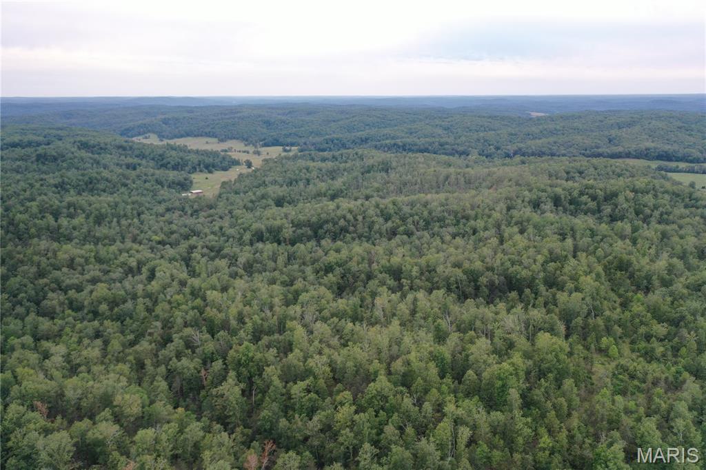 636 County Road 636 Ellington, MO 63638 - Photo 36 of 42