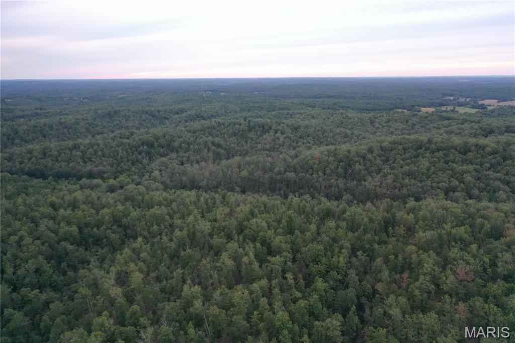 636 County Road 636 Ellington, MO 63638 - Photo 38 of 42