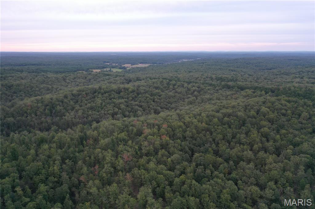 636 County Road 636 Ellington, MO 63638 - Photo 39 of 42