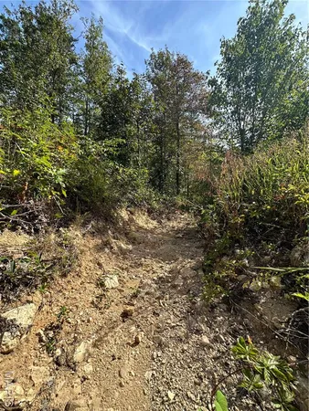 $43,900 | 636 County Road 636, Ellington, MO 63638