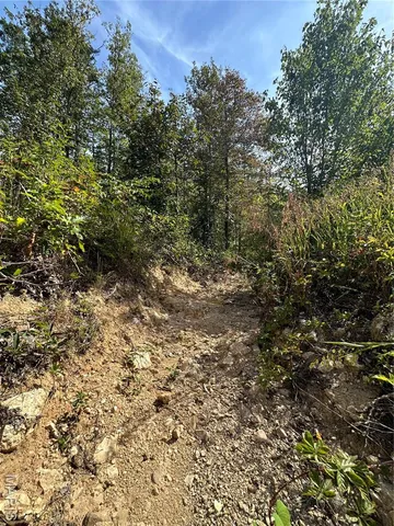 $44,900 | 636 County Road 636, Ellington, MO 63638