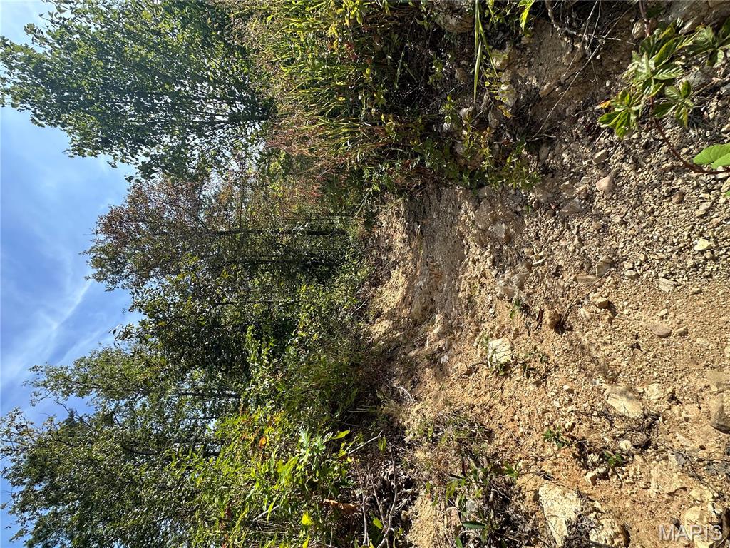 636 County Road 636 Ellington, MO 63638 - Photo 4 of 42