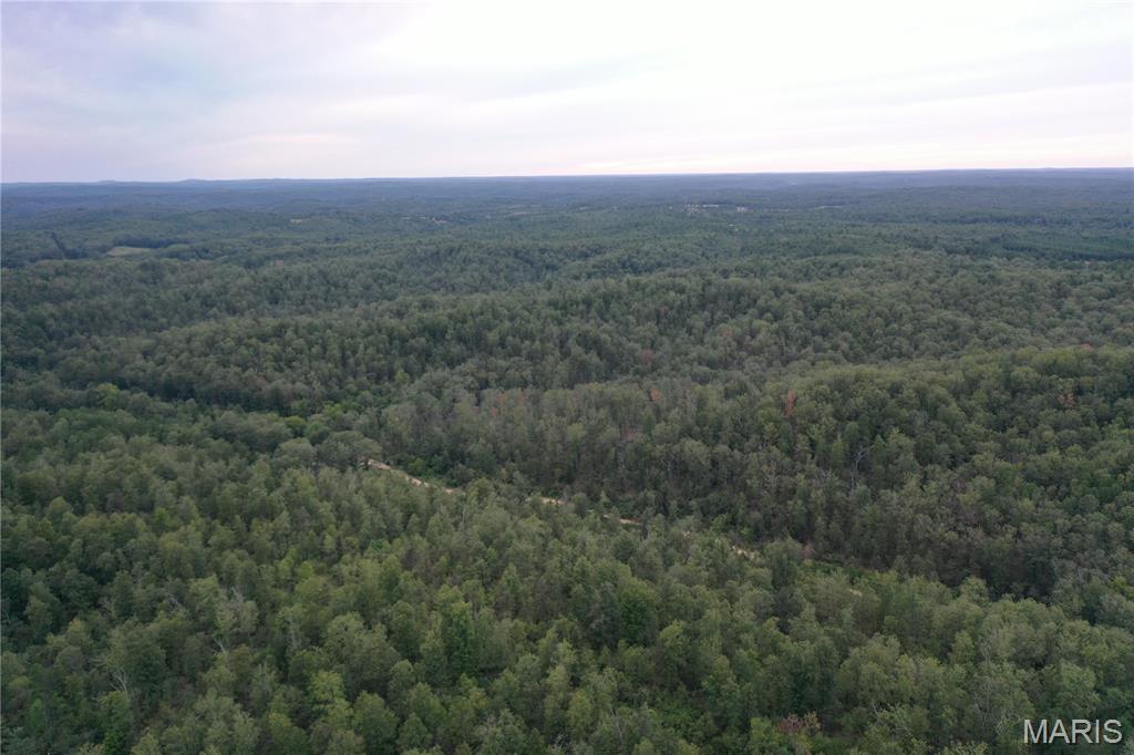 636 County Road 636 Ellington, MO 63638 - Photo 5 of 42