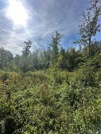 $43,900 | 636 County Road 636, Ellington, MO 63638