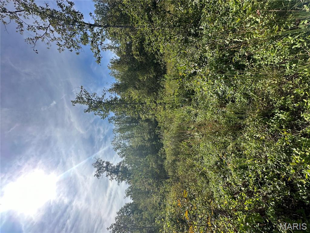 636 County Road 636 Ellington, MO 63638 - Photo 6 of 42