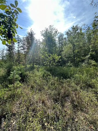 $43,900 | 636 County Road 636, Ellington, MO 63638