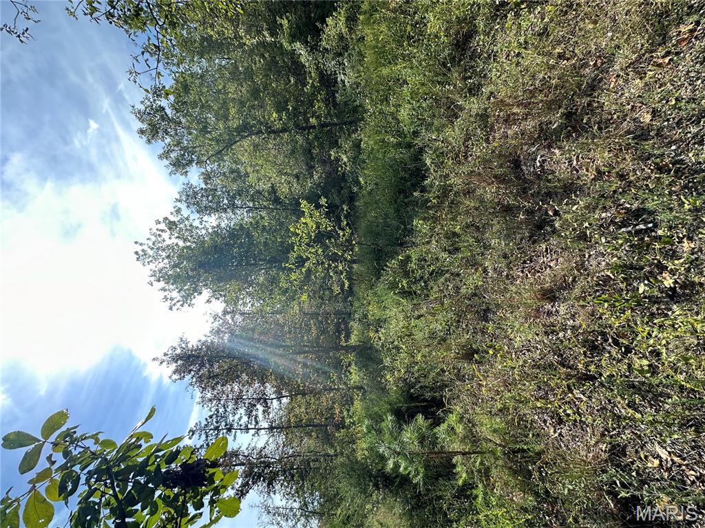 636 County Road 636 Ellington, MO 63638 - Photo 7 of 42