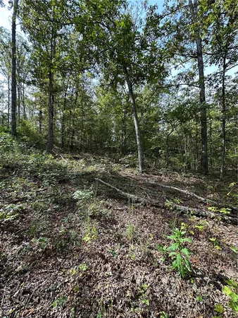 $43,900 | 636 County Road 636, Ellington, MO 63638