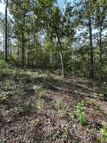 $44,900 | 636 County Road 636, Ellington, MO 63638