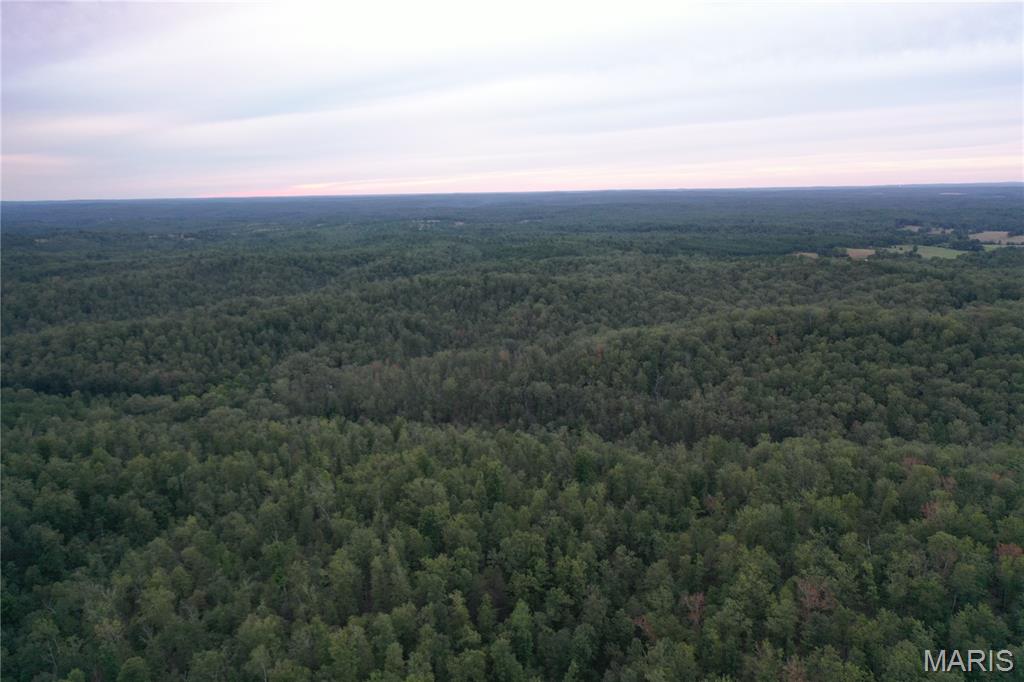 636 County Road 636 Ellington, MO 63638 - Photo 9 of 42