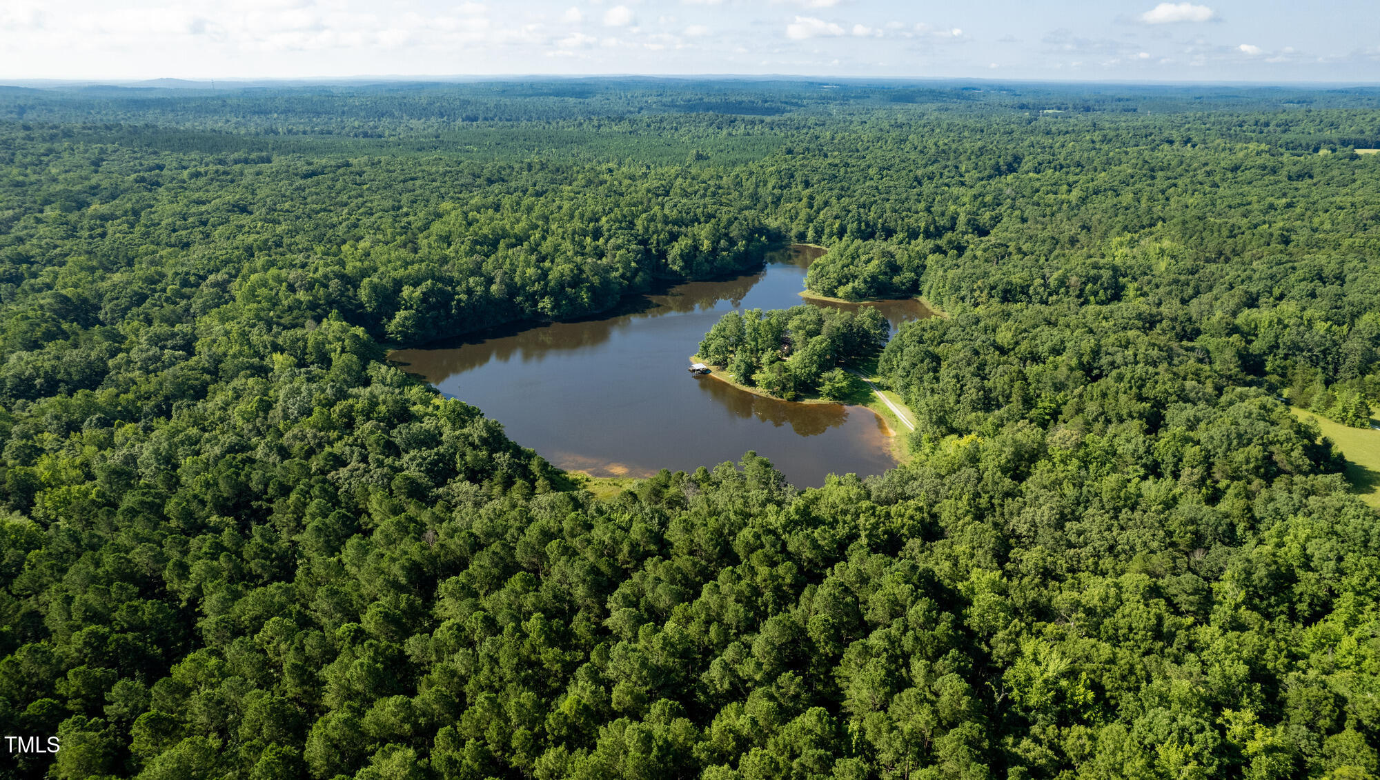 2918-3000 Chestnut Ridge Church Road Efland, NC 27243 - Photo 3 of 23 a view of a lush green forest with a house
