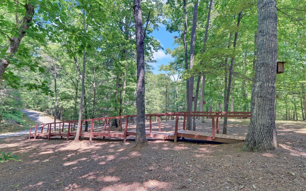 164 Dew Drop Lane Murphy, NC 28906 - Photo 30 of 49