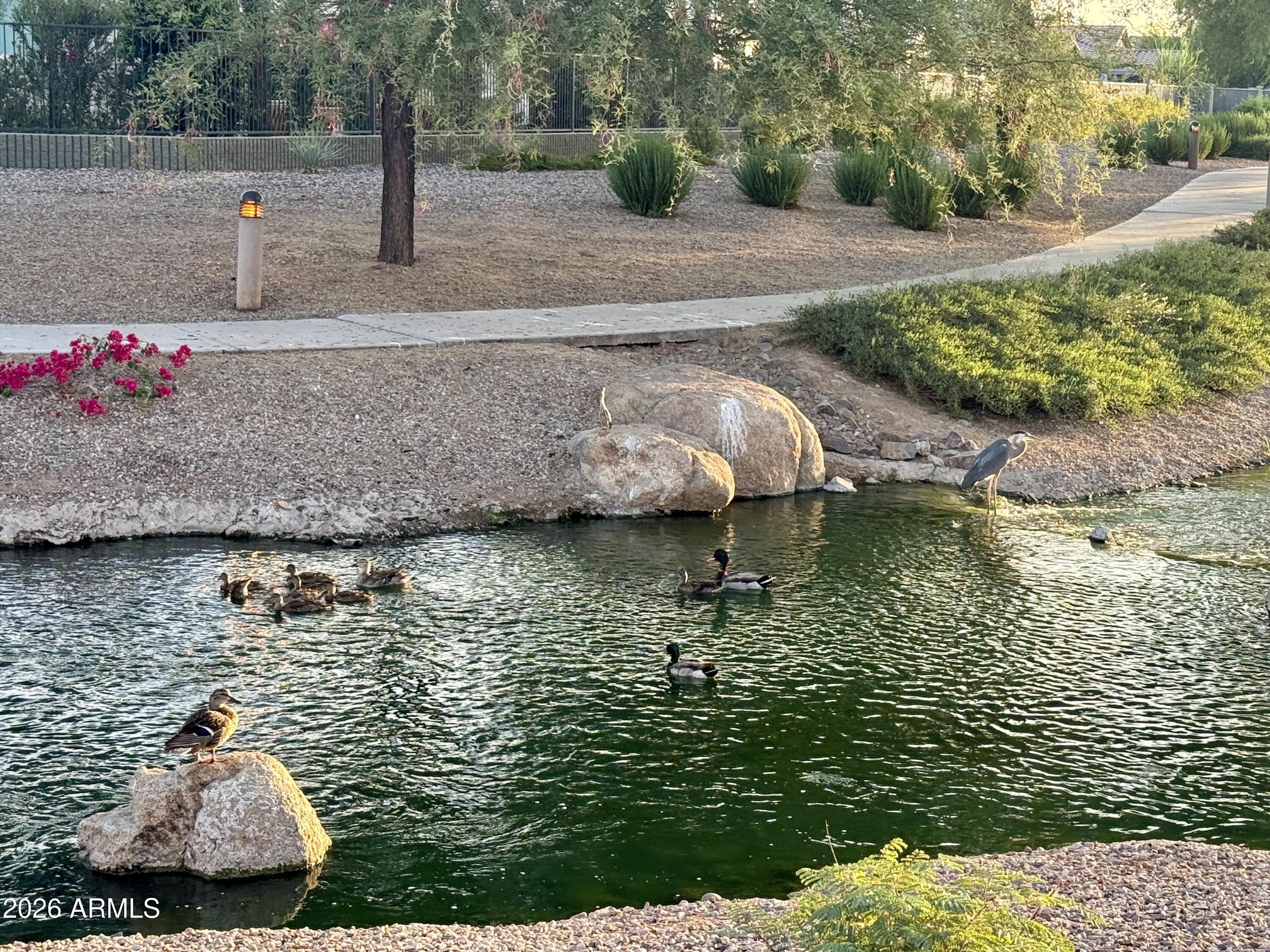 4601 South Renaissance Drive, Unit 101 Gilbert, AZ 85297 - Photo 21 of 26