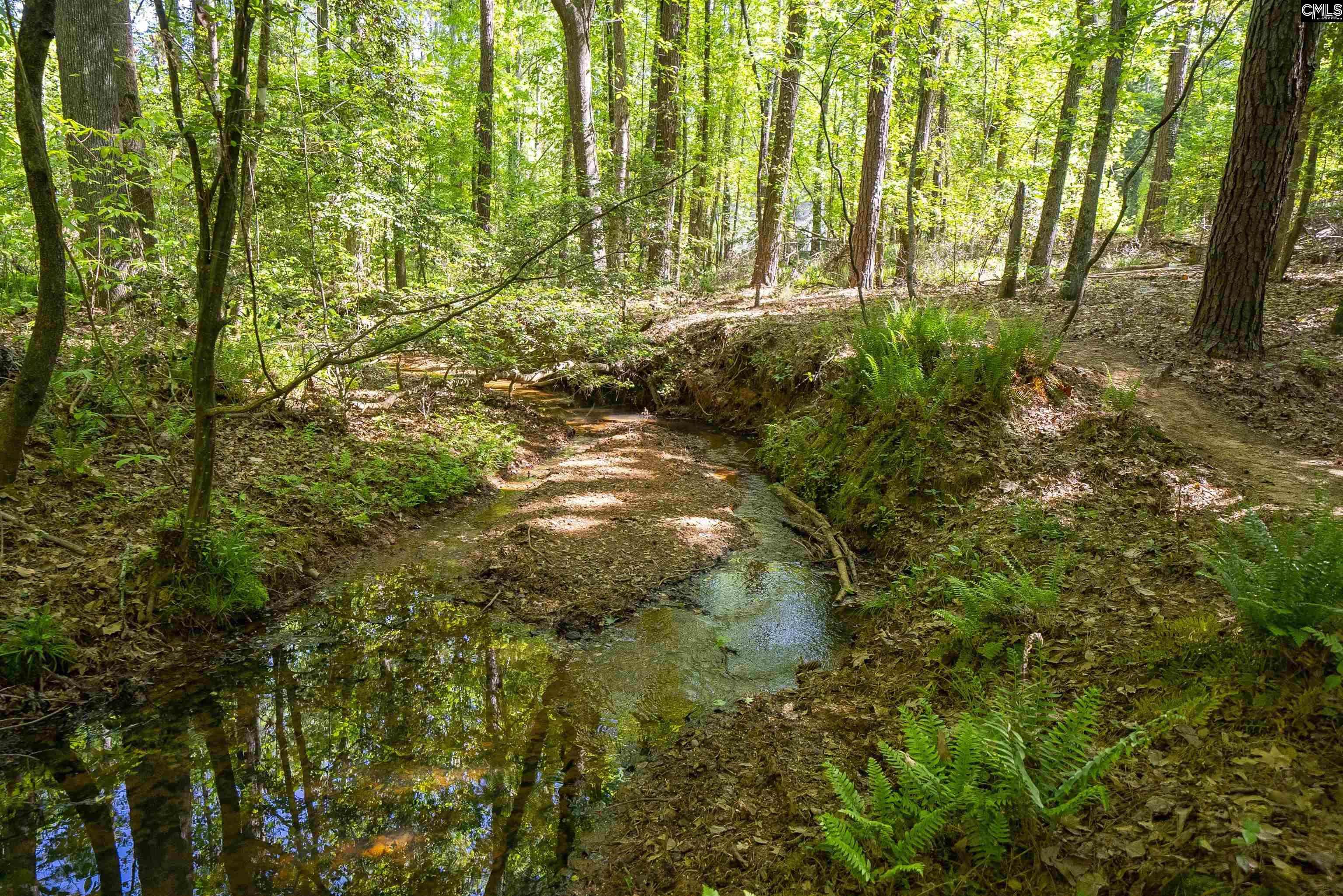 102 Warner Woods Road Lexington, SC 29072 - Photo 37 of 49