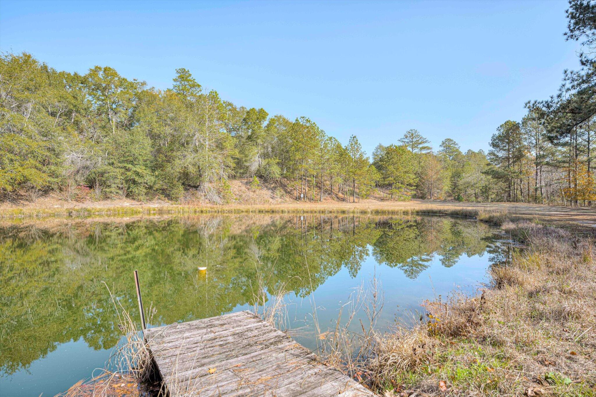 5974 Deans Bridge Road Blythe, GA 30805 - Photo 39 of 50 39-039-