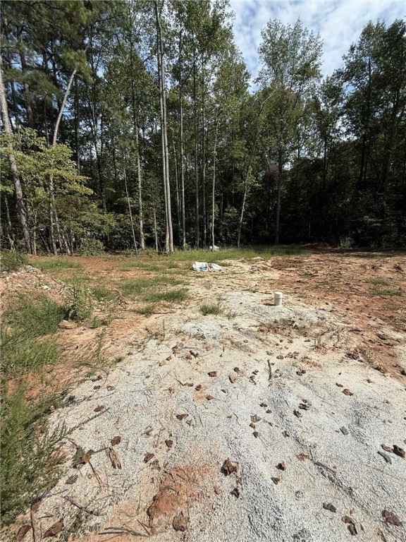 270 Colony Lane West Union, SC 29696 - Photo 2 of 5