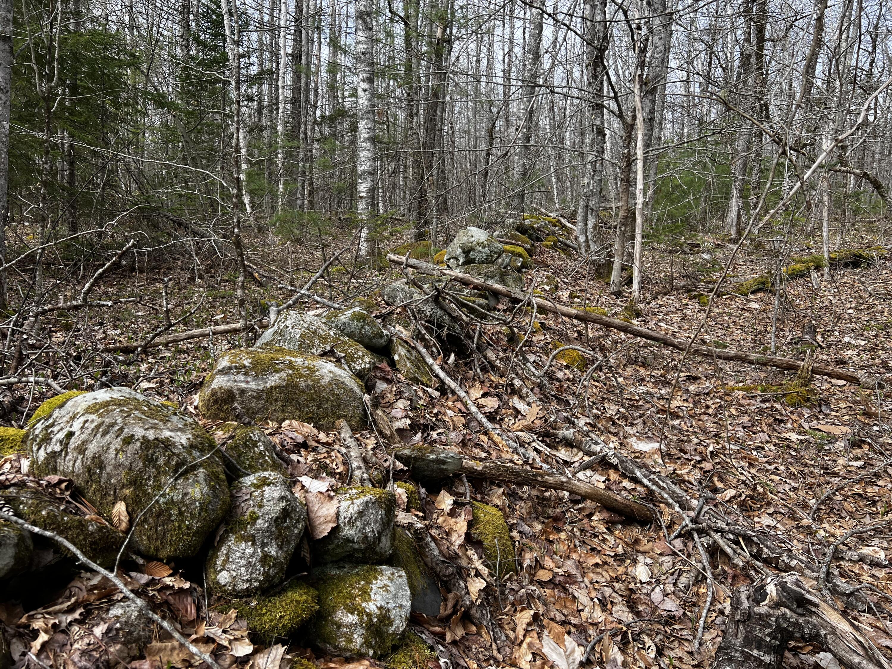Lot 69 Campground Road Searsport, ME 04974 - Photo 15 of 46 IMG_9611