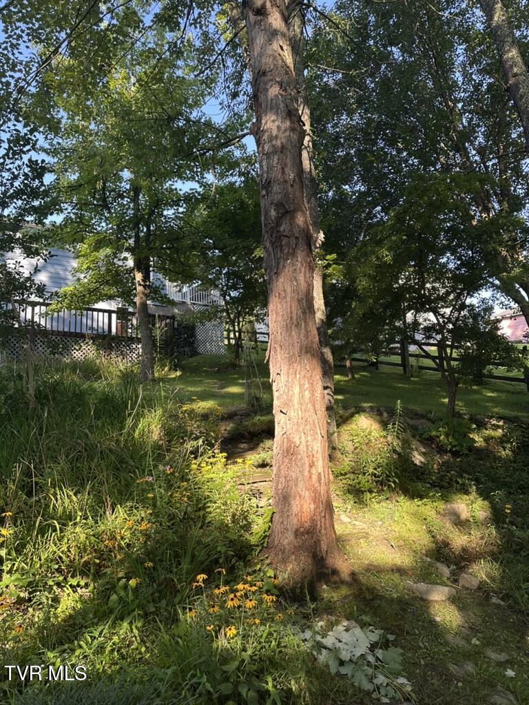 121 Beverly Avenue Southwest Wise, VA 24293 - Photo 60 of 94 IMG_4234