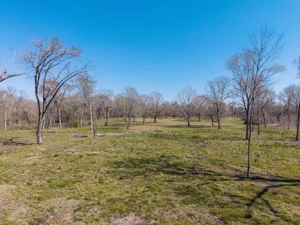 a view of a field with large trees
