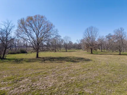 a view of dirt field with trees