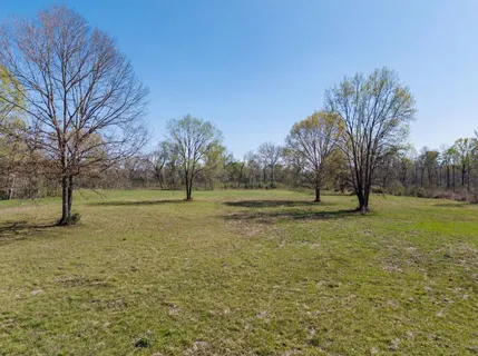 a view of outdoor space with trees