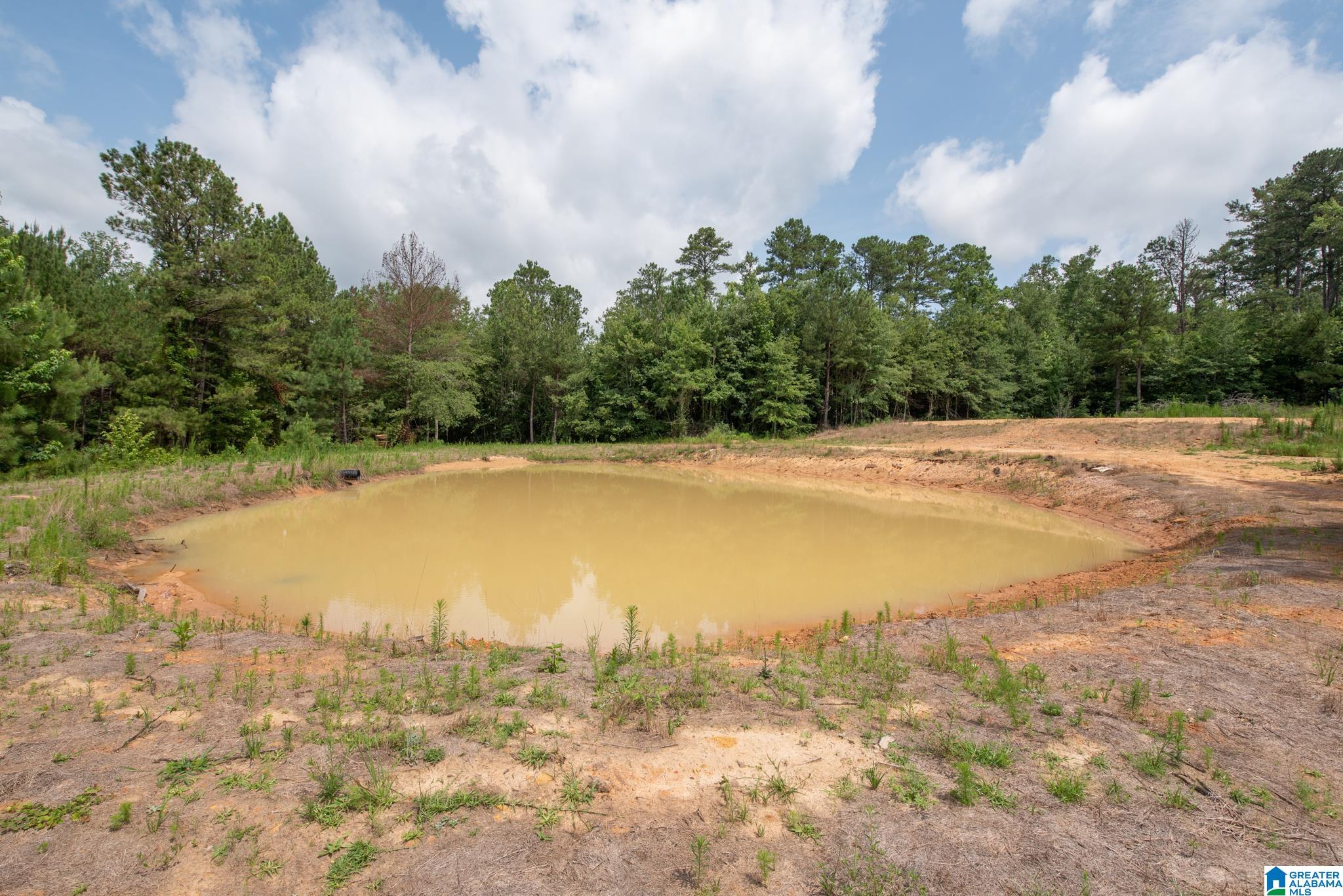 3025 Potato Patch Creek Road Marion, AL 36756 - Photo 9 of 24
