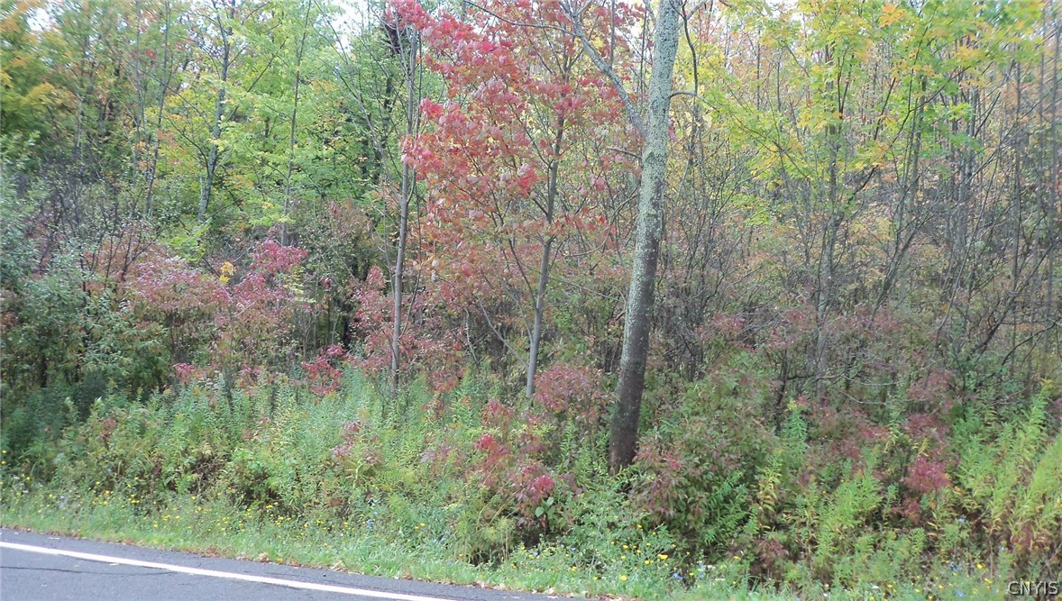0 Oak Hill Road Tully, NY 13159 - Photo 1 of 1 Gallery Image 1