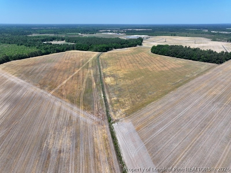 Tbd North Duffie Road Red Springs, NC 28377 - Photo 1 of 24