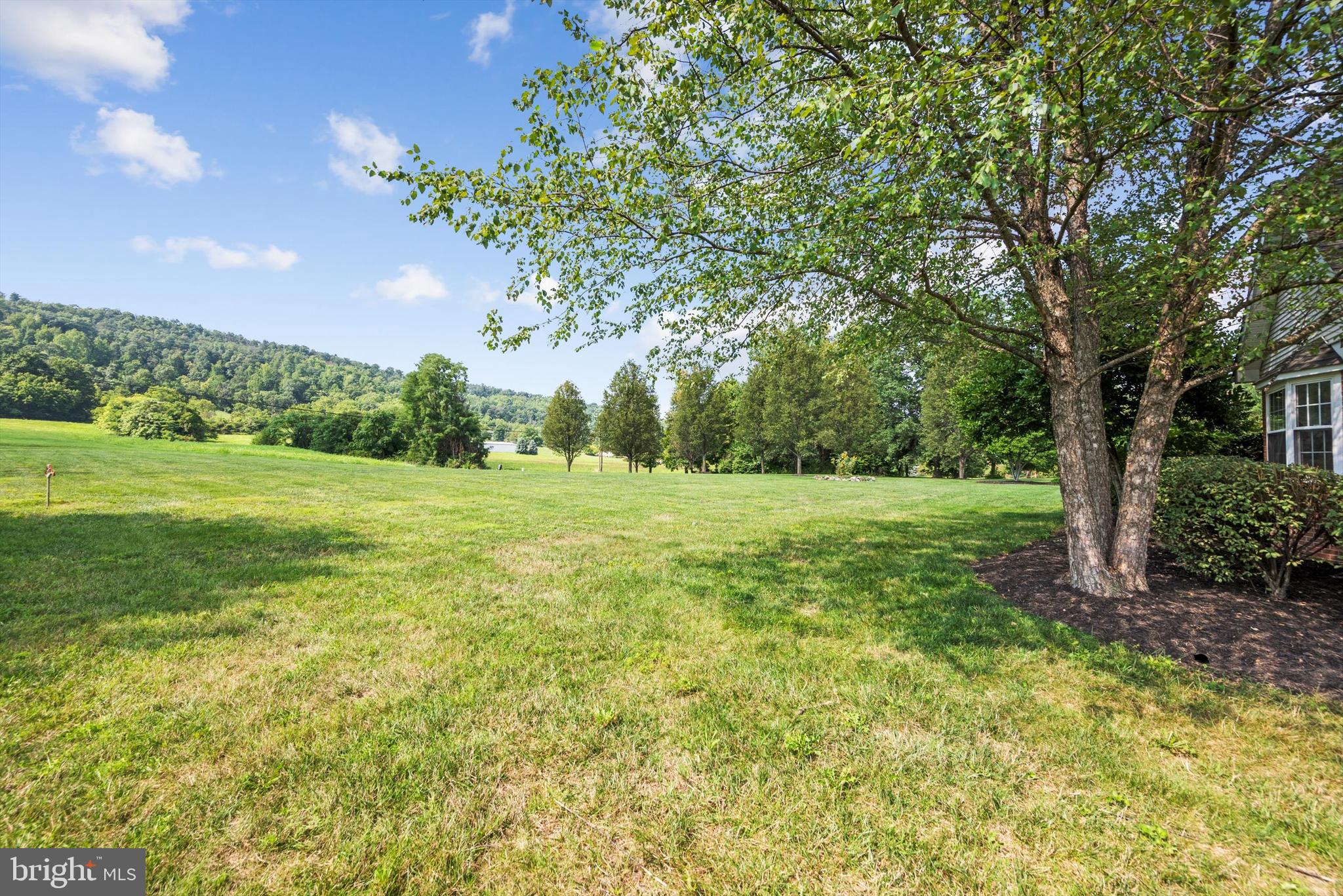705 Singhass Road Winchester, VA 22602 - Photo 4 of 70 Gallery Image 4