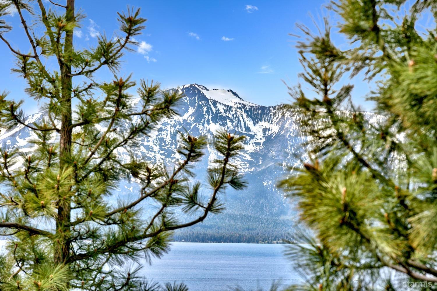 631 Point Road Zephyr Cove, NV 89448 - Photo 17 of 28 a view of flowers