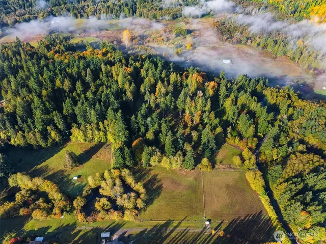 a view of a yard with an outdoor space