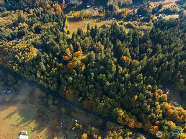 a view of yard with green space