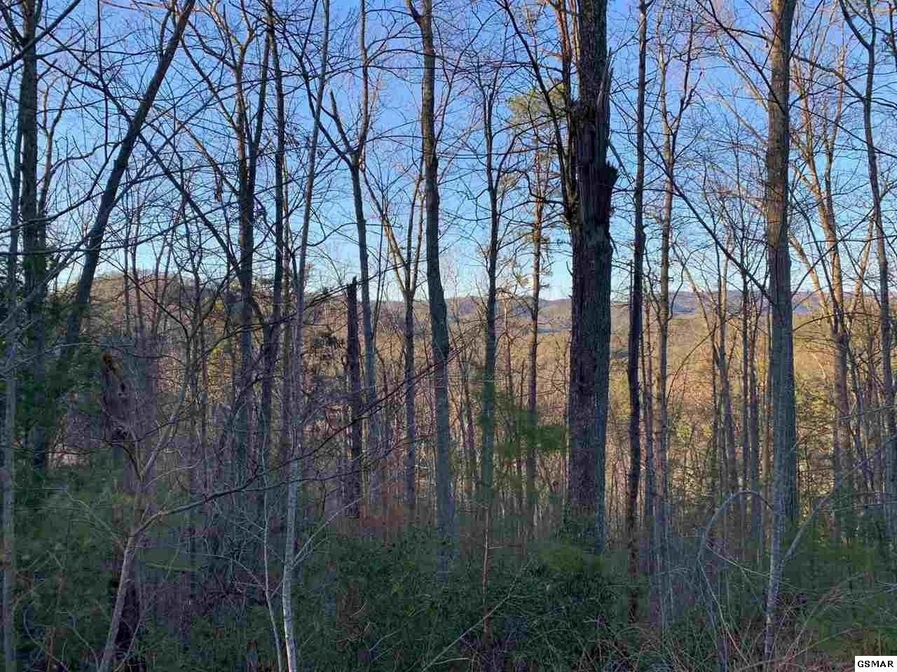 66 Whetstone Road Sevierville, TN 37863 - Photo 4 of 6