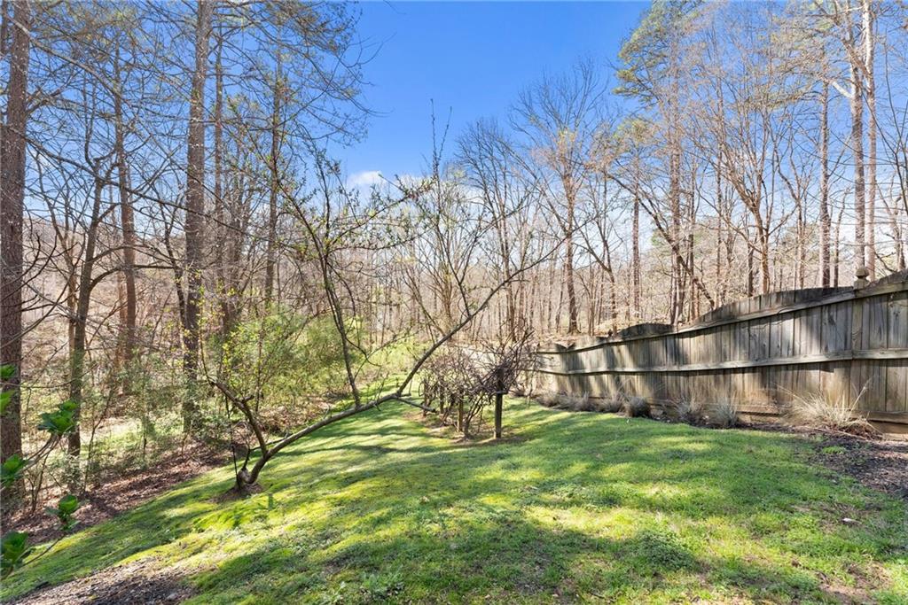 4140 River Bluff Run Way Suwanee, GA 30024 - Photo 64 of 87