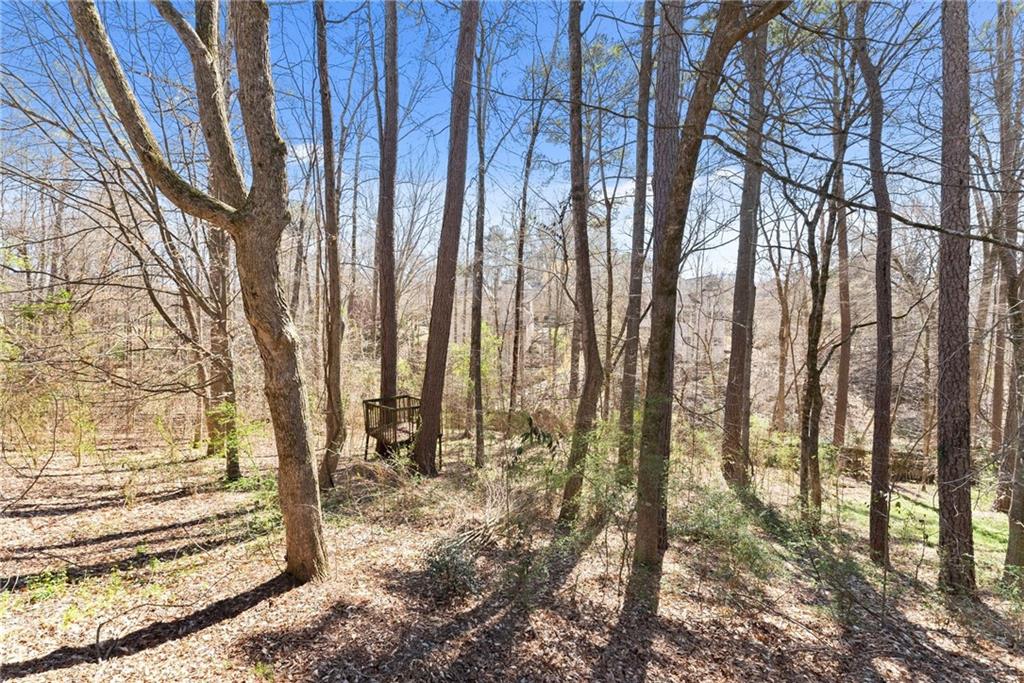 4140 River Bluff Run Way Suwanee, GA 30024 - Photo 65 of 87