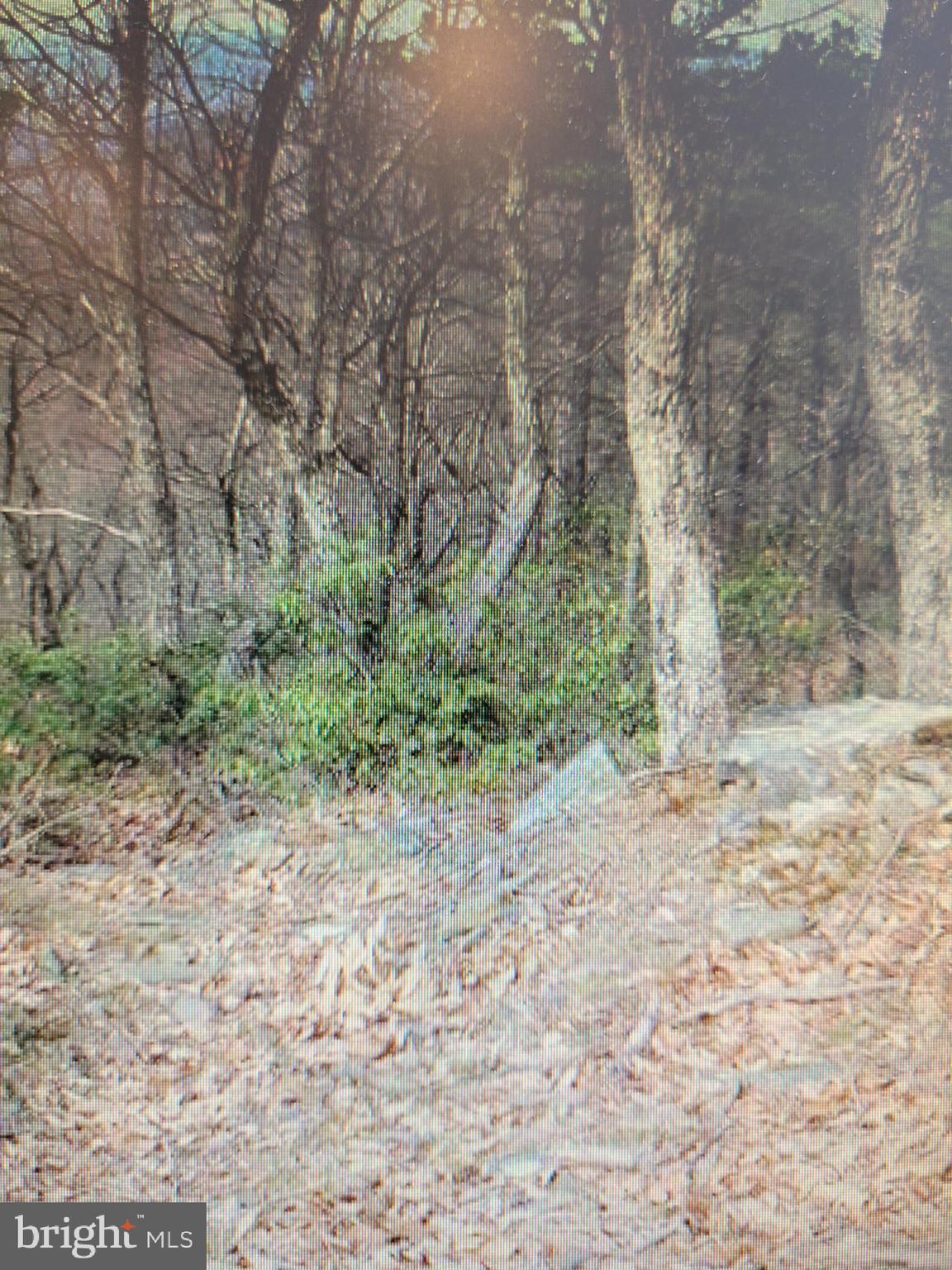 Lot 337 Nathaniel Mt Road Moorefield, WV 26836 - Photo 3 of 3 Gallery Image 3