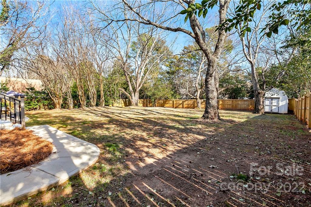6009 Pepperhill Road Charlotte, NC 28212 - Photo 16 of 17 a view of road with large trees