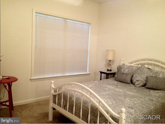 17432 Slipper Shell Way, Unit 3307 Lewes, DE 19958 - Photo 9 of 12 Gallery Image 9
