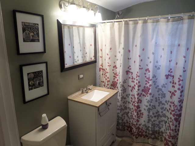309 Davis Road Batavia, IL 60510 - Photo 13 of 23