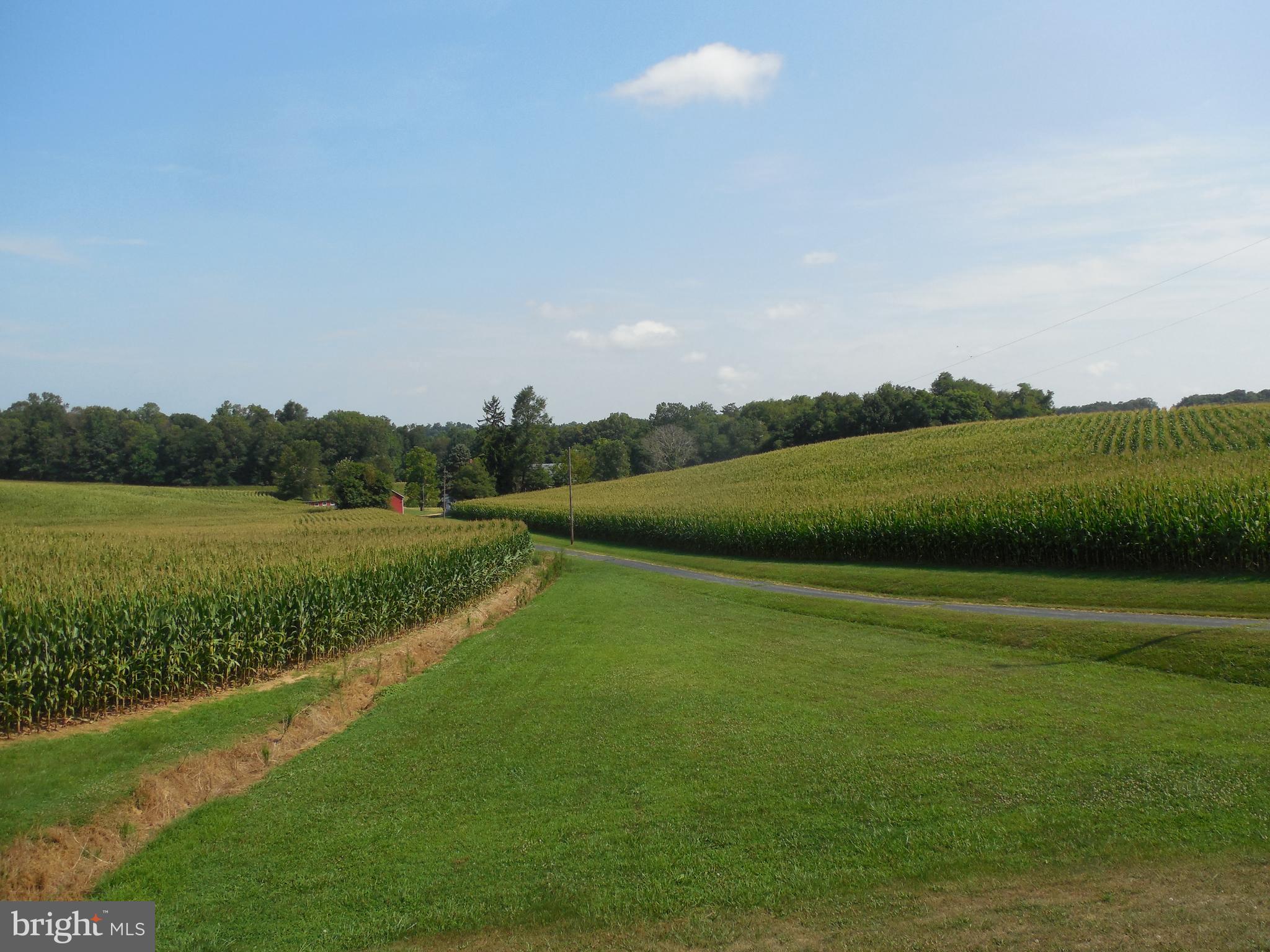 1377 Graceton Road Fawn Grove, PA 17321 - Photo 3 of 48 Gallery Image 3