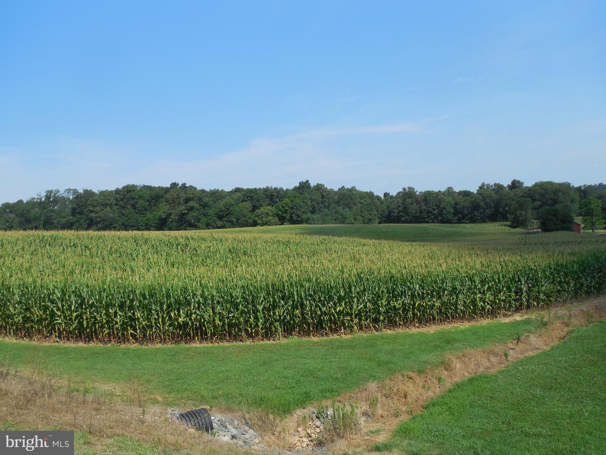 1377 Graceton Road Fawn Grove, PA 17321 - Photo 26 of 48 Gallery Image 26