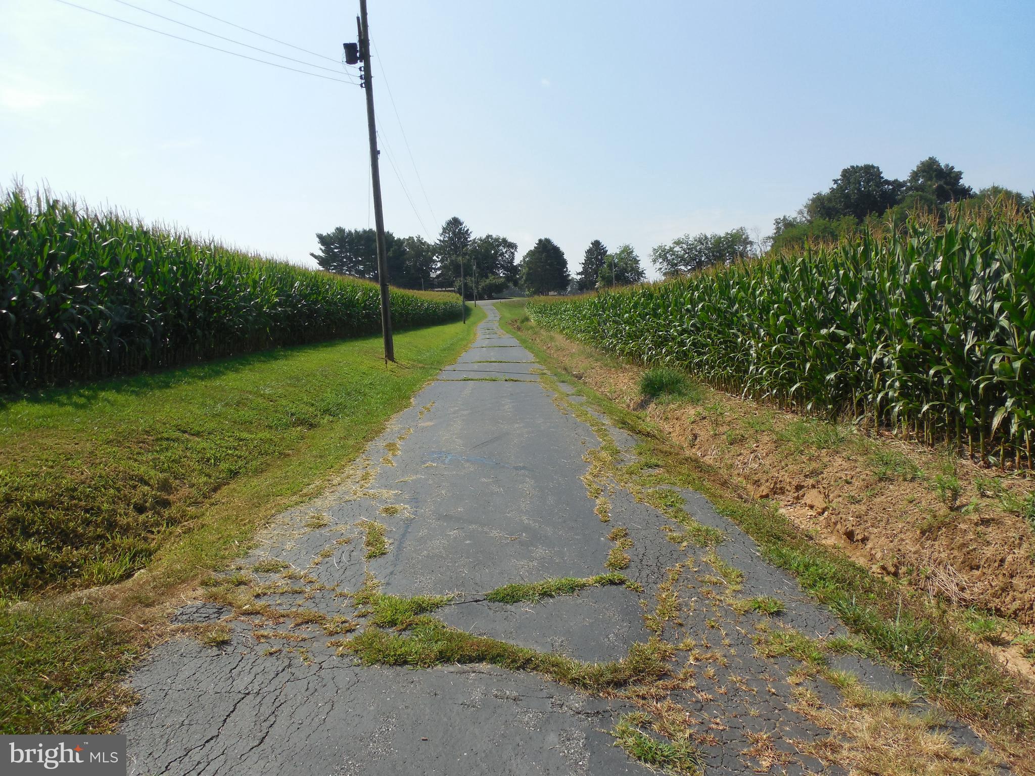 1377 Graceton Road Fawn Grove, PA 17321 - Photo 27 of 48 Gallery Image 27