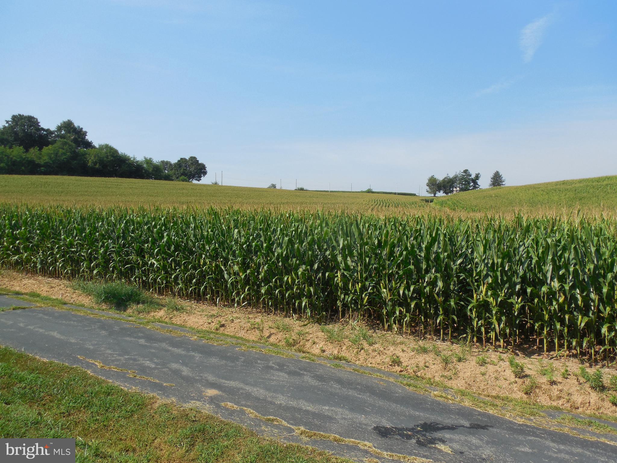 1377 Graceton Road Fawn Grove, PA 17321 - Photo 28 of 48 Gallery Image 28