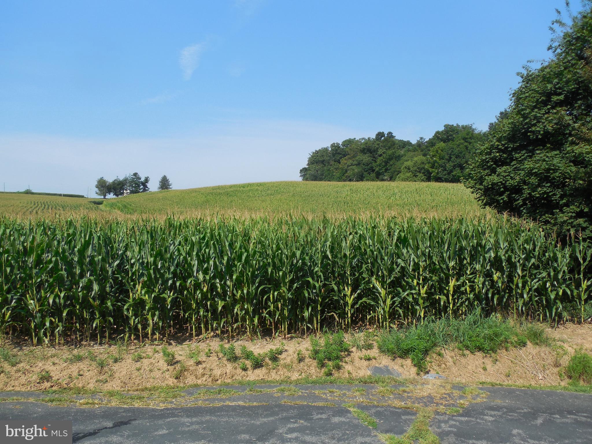 1377 Graceton Road Fawn Grove, PA 17321 - Photo 29 of 48 Gallery Image 29
