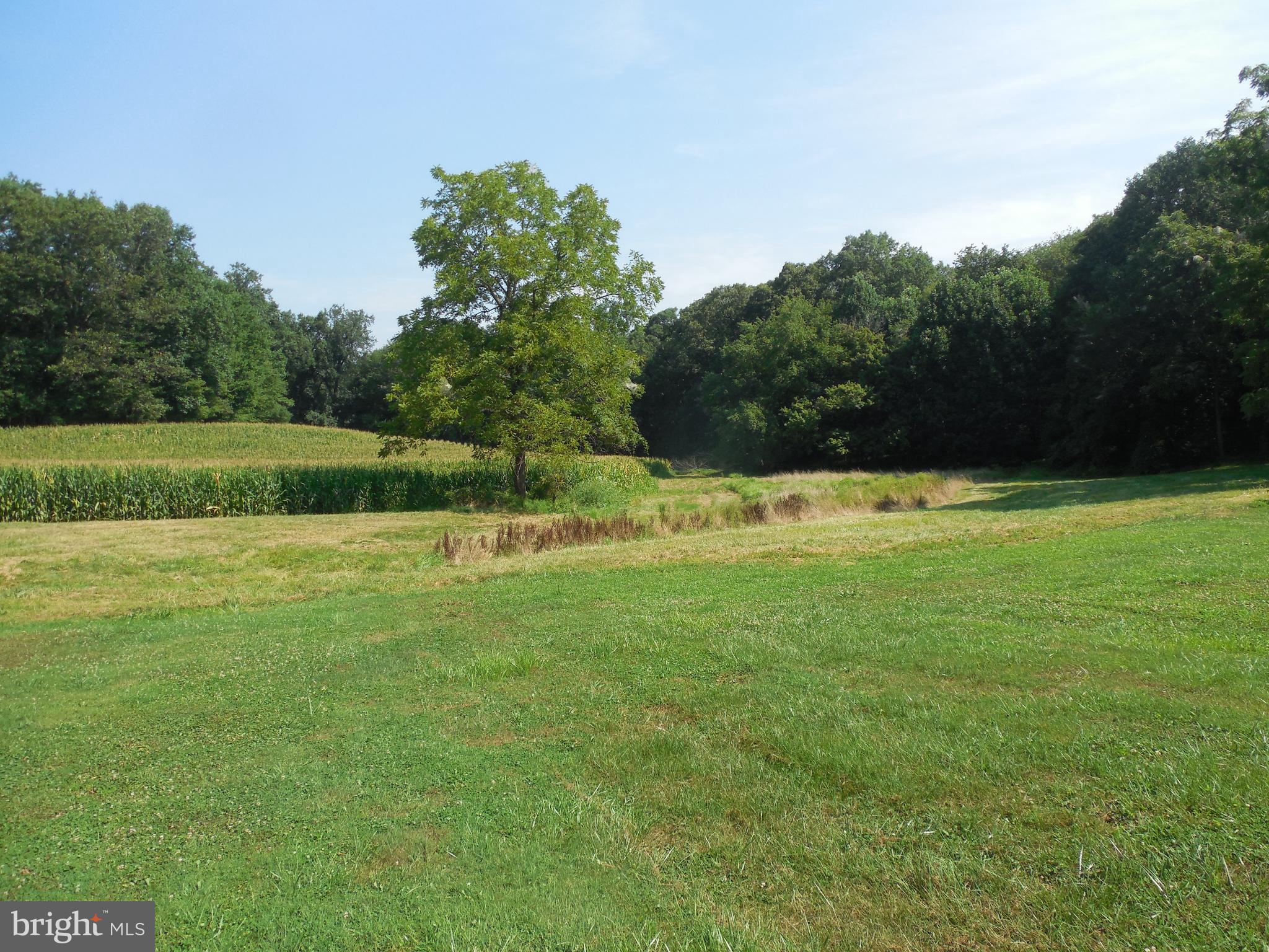 1377 Graceton Road Fawn Grove, PA 17321 - Photo 33 of 48 Gallery Image 33