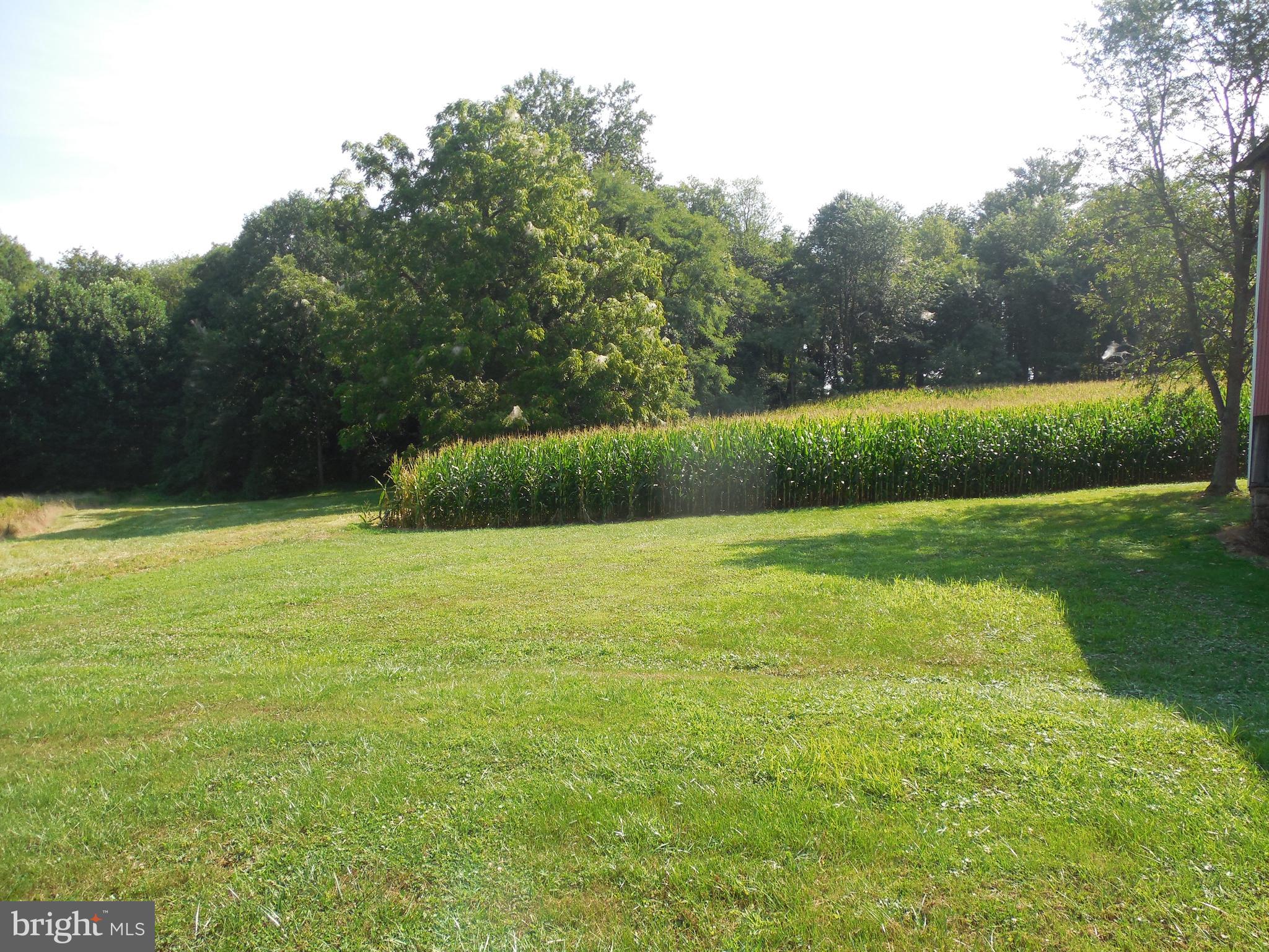 1377 Graceton Road Fawn Grove, PA 17321 - Photo 34 of 48 Gallery Image 34