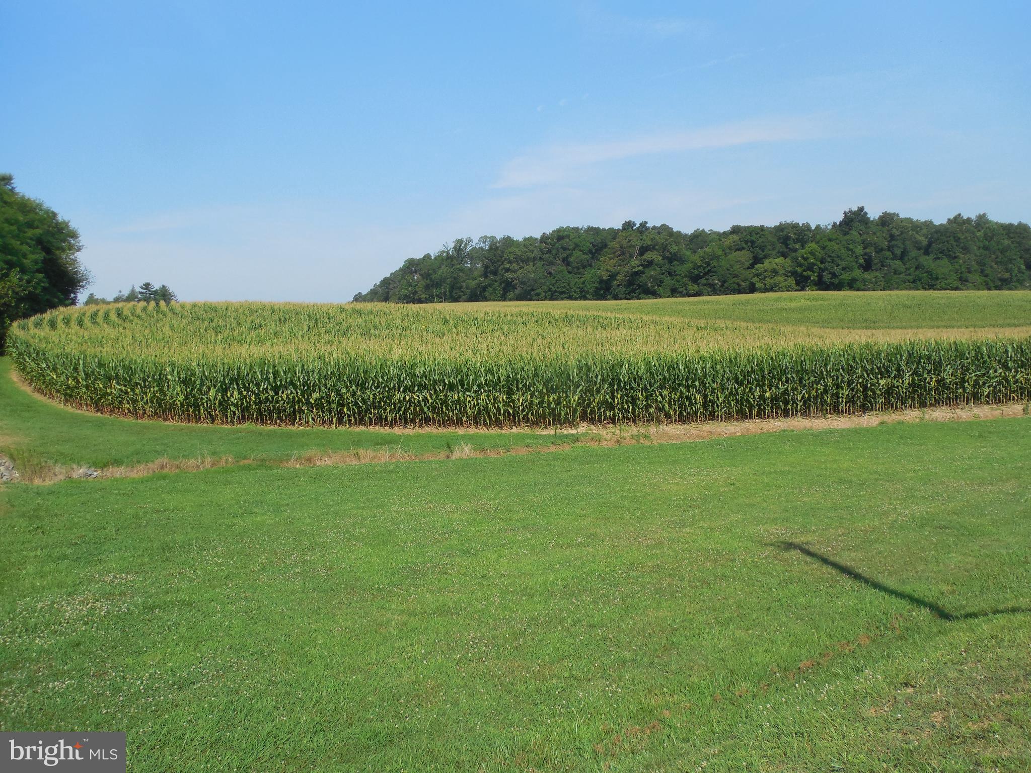1377 Graceton Road Fawn Grove, PA 17321 - Photo 45 of 48 Gallery Image 45